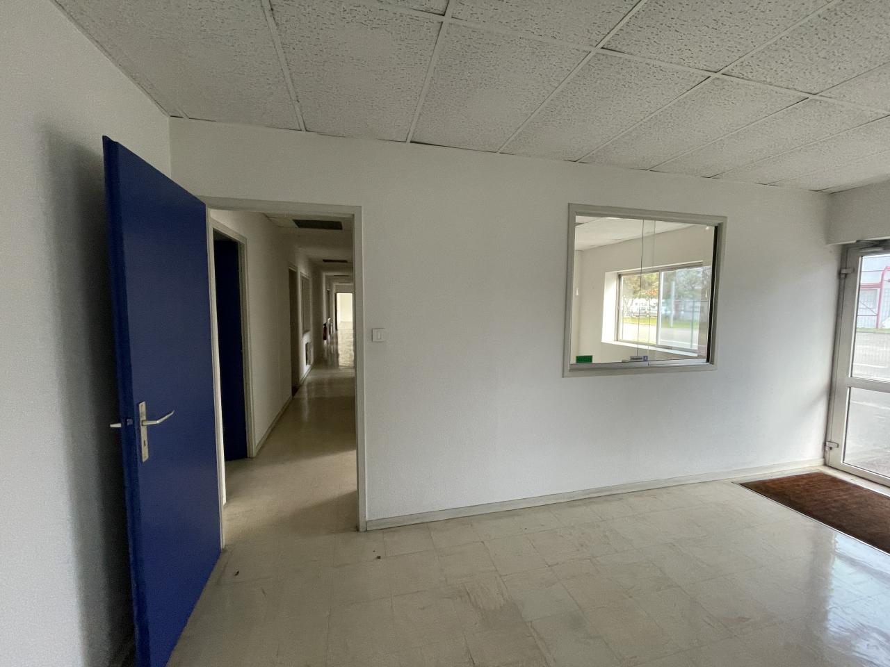 Local d'activité Fegersheim 2138m² Vente local d'activité Fegersheim Bas-Rhin OVACT2534046 6
